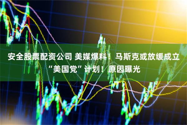 安全股票配资公司 美媒爆料！马斯克或放缓成立“美国党”计划！原因曝光