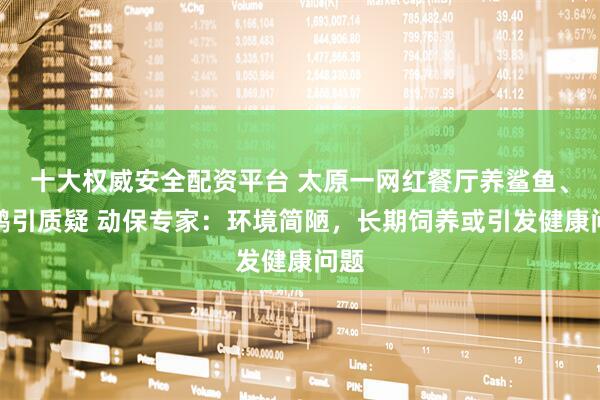 十大权威安全配资平台 太原一网红餐厅养鲨鱼、企鹅引质疑 动保专家：环境简陋，长期饲养或引发健康问题