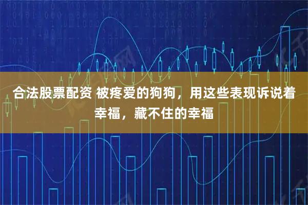 合法股票配资 被疼爱的狗狗，用这些表现诉说着幸福，藏不住的幸福